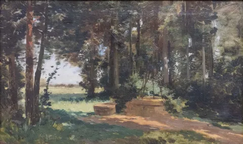 Paisaje