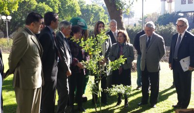 Imagen foto_00000014