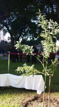 Imagen foto_00000016