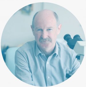 Imagen foto_00000024